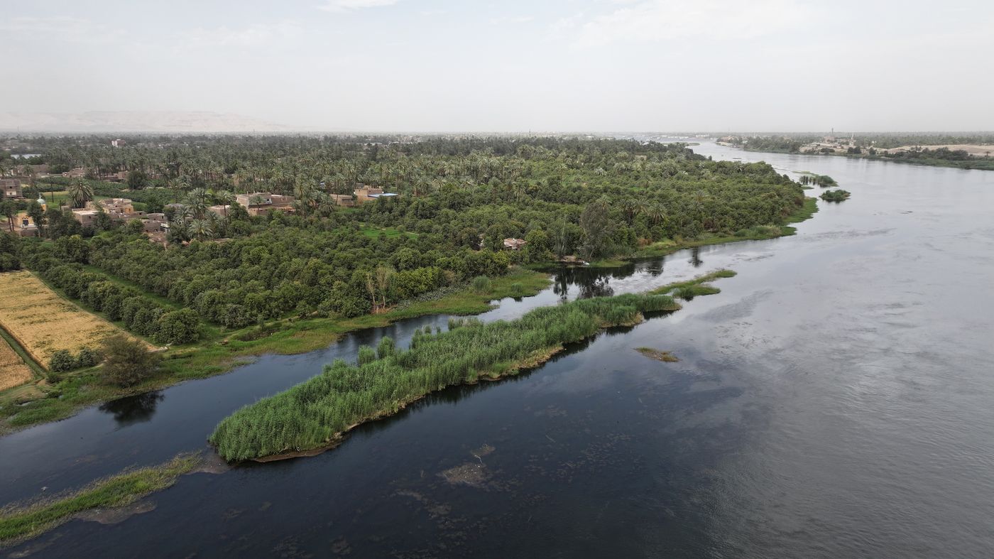 SEBA on the Nile
